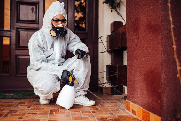 Attic and Crawl Space Rodent Treatment in Riverside
