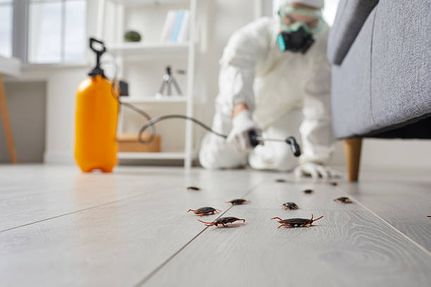 Commercial Rodent Management in Riverside